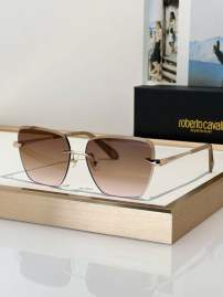 Picture of Roberto Cavalli Sunglasses _SKUfw79279456fw
